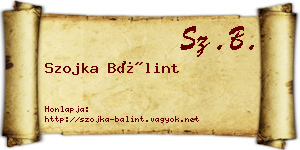 Szojka Bálint névjegykártya