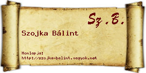 Szojka Bálint névjegykártya